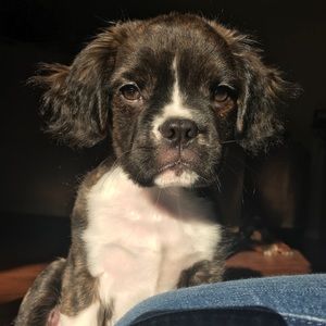 Meet your Posher, Madison